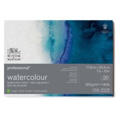 Bloc collé 4 côtés 100% coton 17.8x25.4 300g grain torchon 20f Professional Winsor & Newton