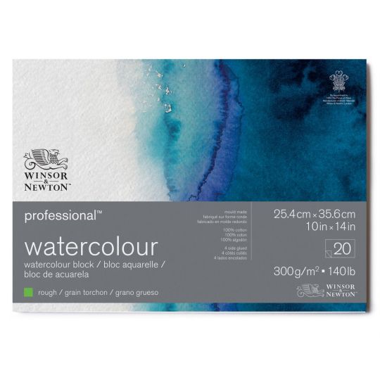 Bloc collé 4 côtés 100% coton 25.4x35.6 300g grain torchon 20f Professional Winsor & Newton