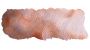 Galaxie brun - aquarelle super-granuleuse Tube 5 ml Schmincke Horadam
