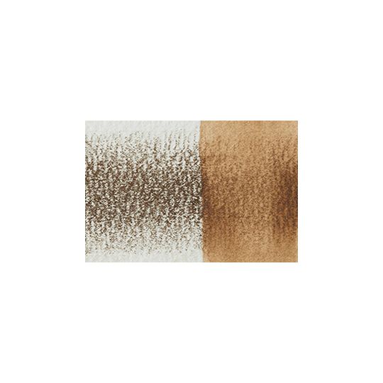 Marron saule - crayon Inktense Derwen