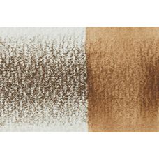 Marron saule - crayon Inktense Derwen