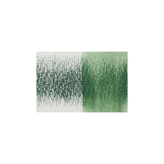 Hêtre vert - crayon Inktense Derwen