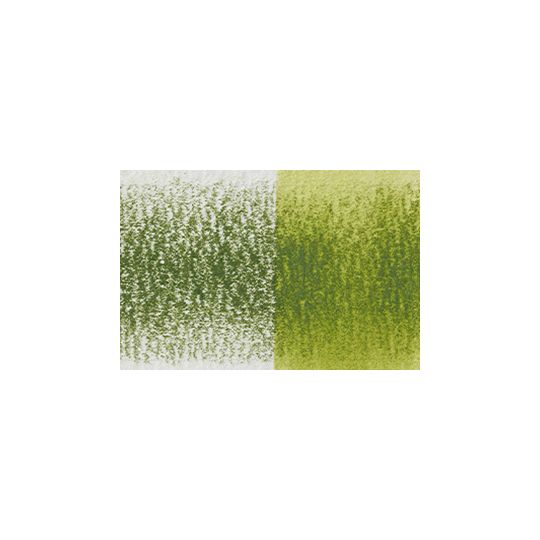 Fougère - crayon Inktense Derwen
