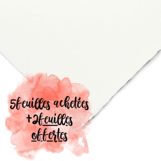 Feuilles Masters Baohong 56x76 300g 5f+2f offertes grain torchon