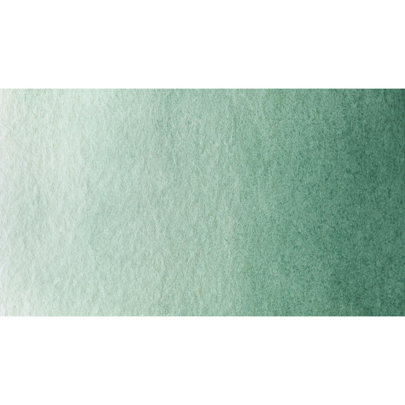 Terre verte froide - Aquarelle 1/2 Godet Gallo