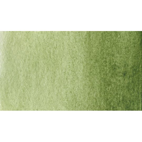 Terre verte chaude - Aquarelle 1/2 Godet Gallo