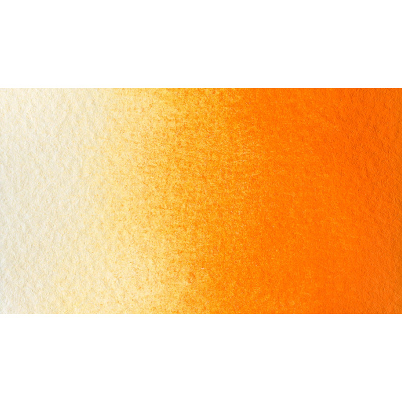 Orange d'Hokkaido - Aquarelle 1/2 Godet Gallo