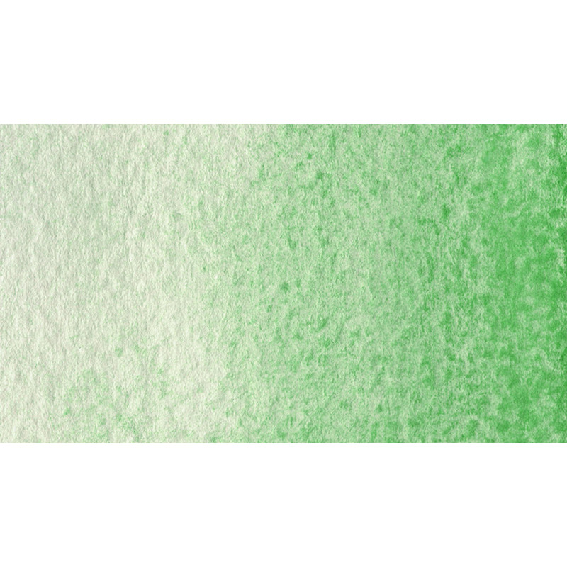 Vert Victoria - Aquarelle 1/2 Godet Gallo