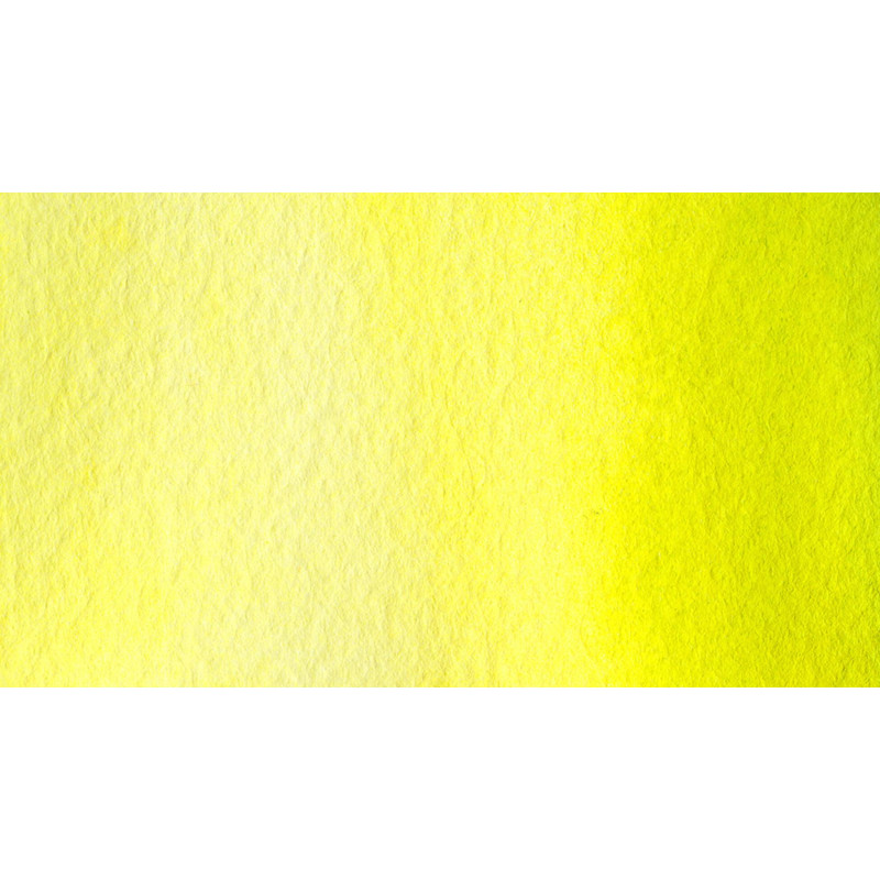 Vert figue - Aquarelle 1/2 Godet Gallo