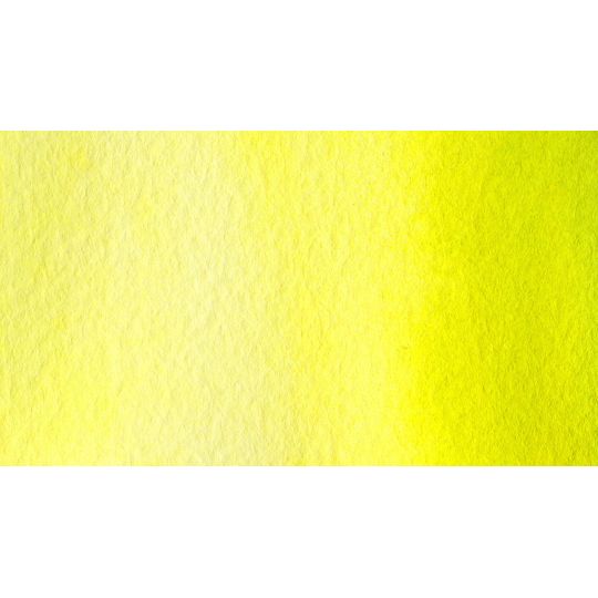 Vert figue - Aquarelle 1/2 Godet Gallo