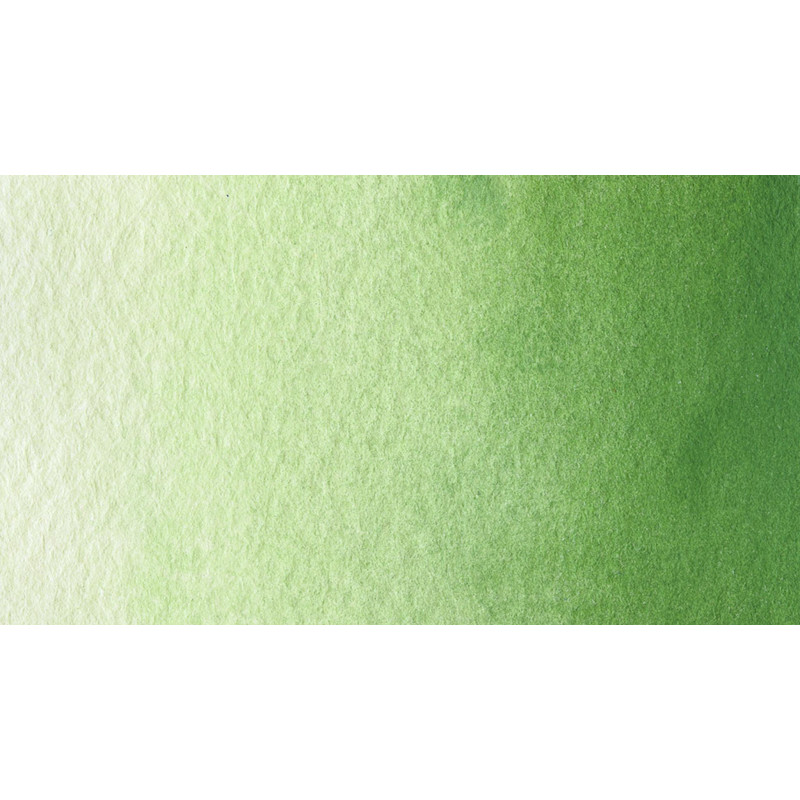 Oxyde de chrome - Aquarelle 1/2 Godet Gallo
