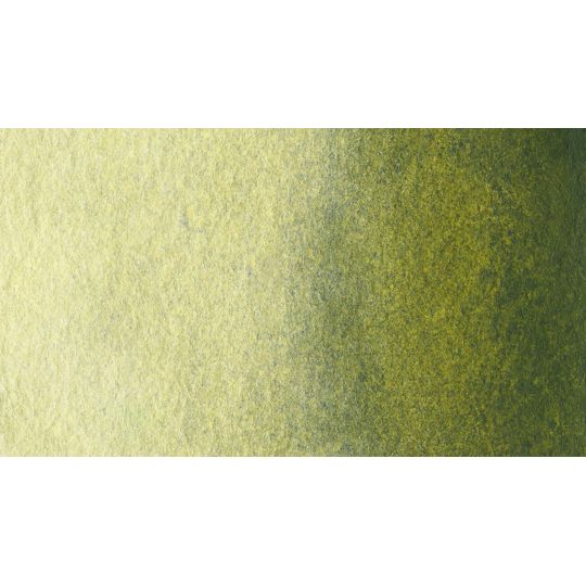 Vert olive profond - Aquarelle 1/2 Godet Gallo