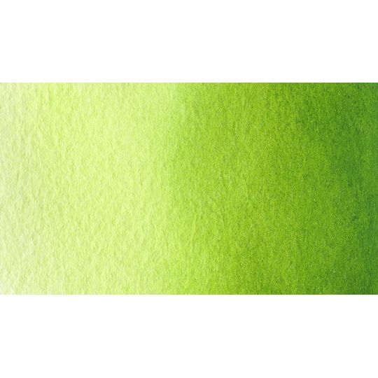 Vert de vessie - Aquarelle 1/2 Godet Gallo