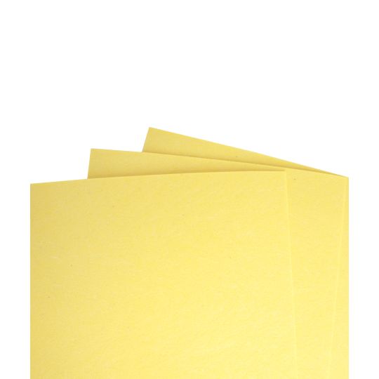 Paquet de 3 éponges pour palette super pro Masterson