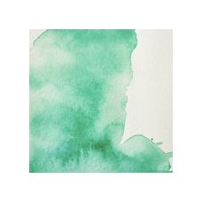 Vert de guignet nuance - Aquarelles Tube 14 ml Winsor & Newton