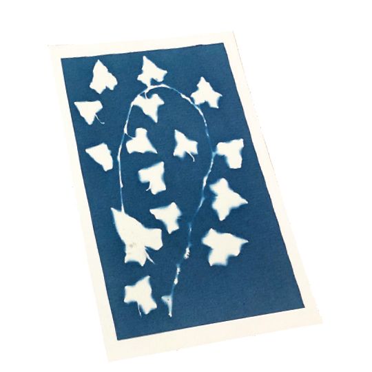 Kit pour tirage cyanotype de Enjoy Art