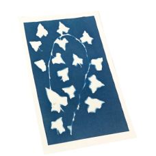 Kit pour tirage cyanotype de Enjoy Art