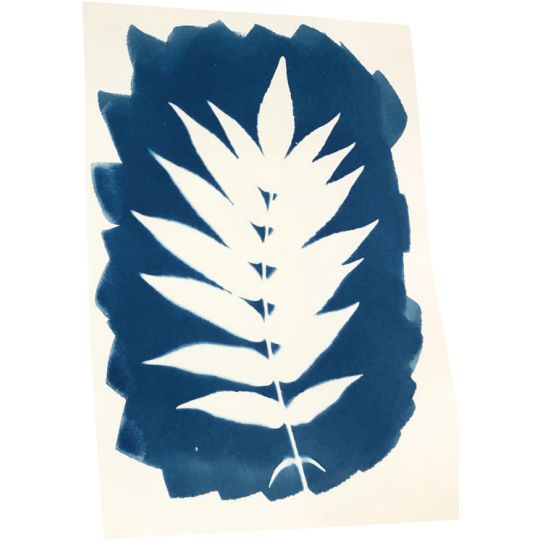 Kit pour tirage cyanotype de Enjoy Art