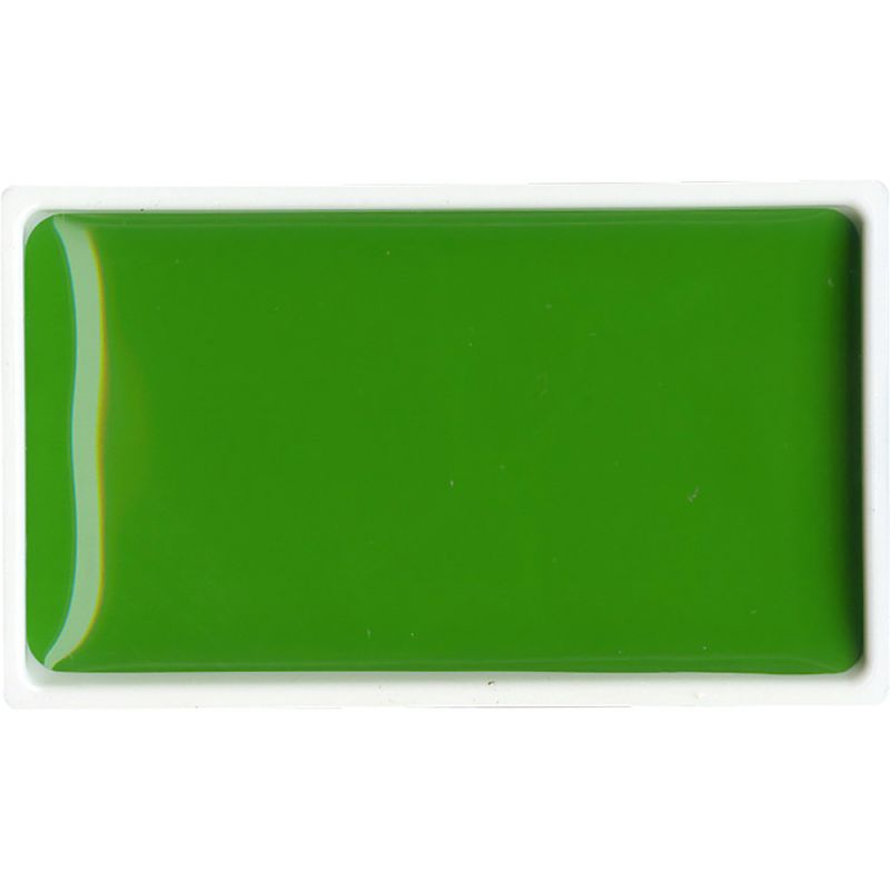 Vert De Vessie Clair - aquarelle extra fine Gansai Godet Japonnais Kuretake
