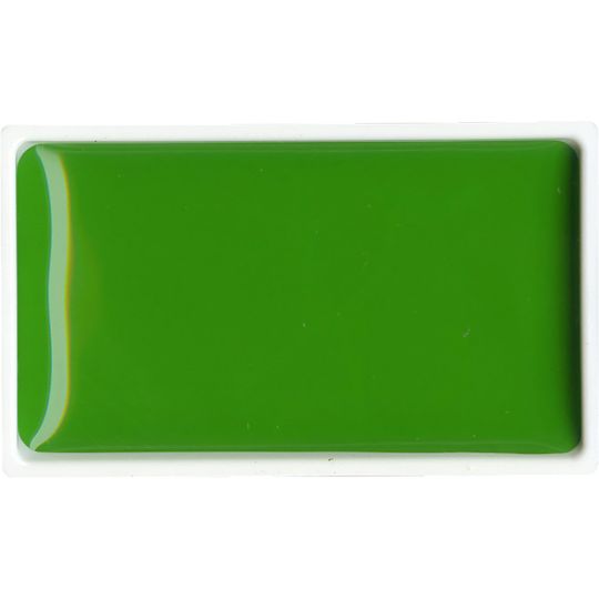 Vert de Vessie Clair - aquarelle extra fine Gansai Godet Japonnais Kuretake