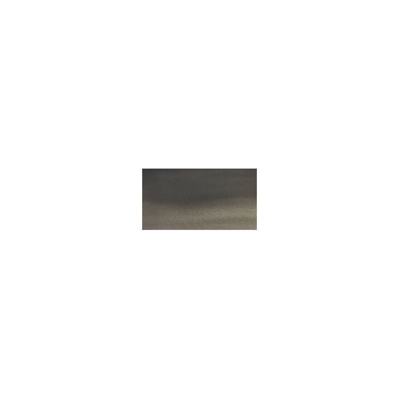 Gris d'Ostwal - AquarellesTube 14 ml Winsor & Newton