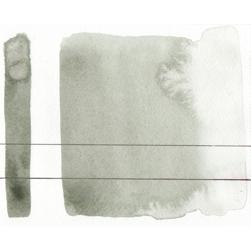 Gris de Davy  - Aquarelles Godet Roman Szmal Aquarius