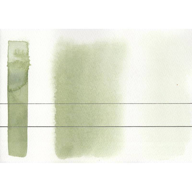 Terre verte - Aquarelle Aquarius ½ godet Roman Szmal