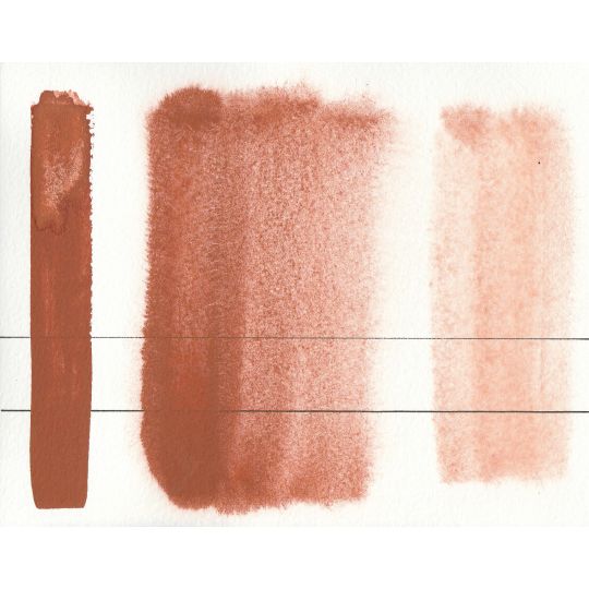Brun Aquarius - Aquarelle Aquarius ½ godet Roman Szmal