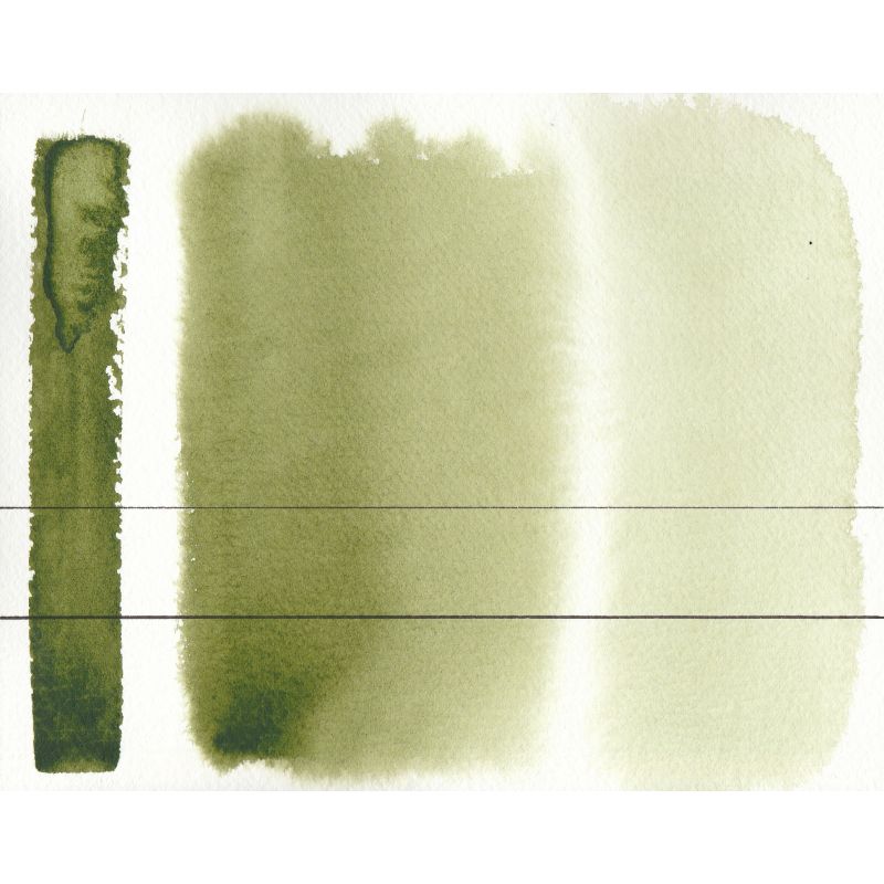 Vert de sève clair - Aquarelle Aquarius ½ godet Roman Szmal