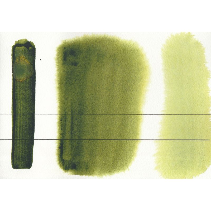 Vert de Hooker - Aquarelle Aquarius ½ godet Roman Szmal