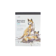 Bloc aquarelle 100% coton Etchr 22.8x30.4 350g 20f grain fin