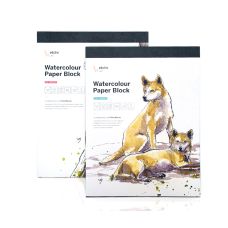 Bloc aquarelle 100% coton Etchr 22.8x30.4 350g 20f grain fin