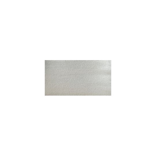 Argent - Aquarelle ½ godet Cotman