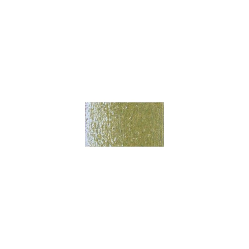 Olive brunâtre 50% - Crayon permanent Caran d'Ache Luminance