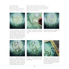 Peindre les secrets de la forêt à l'aquarelle, Jennifer Lefèvre @jennyillustrations