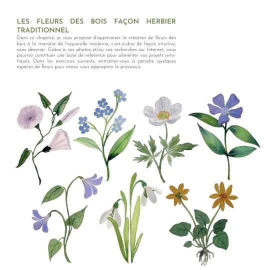 Peindre les secrets de la forêt à l'aquarelle, Jennifer Lefèvre @jennyillustrations