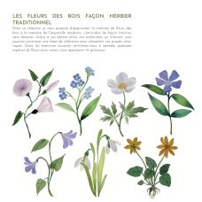 Peindre les secrets de la forêt à l'aquarelle, Jennifer Lefèvre @jennyillustrations