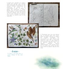 Peindre les secrets de la forêt à l'aquarelle, Jennifer Lefèvre @jennyillustrations