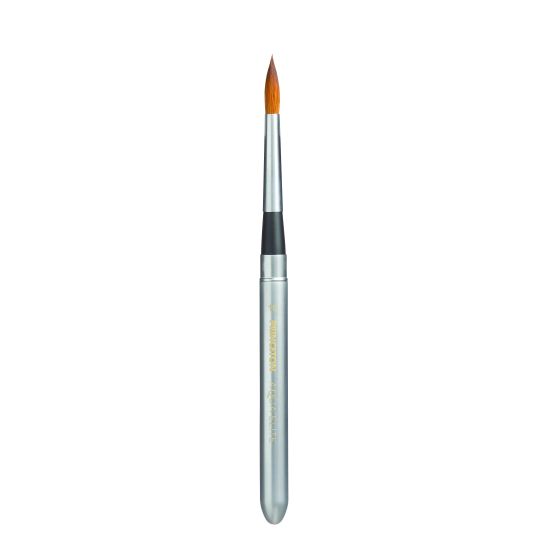 Assortiment de 4 pinceaux de voyage Aqua Elite Princeton