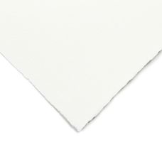 Feuilles Classic Baohong 56x76 300g 5f grain fin
