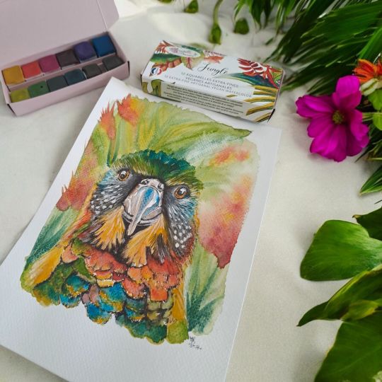 Palette Jungle 12 ½ godets aquarelles extra-fines véganes Aquarelle de Provence