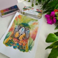 Palette Jungle 12 ½ godets aquarelles extra-fines véganes Aquarelle de Provence