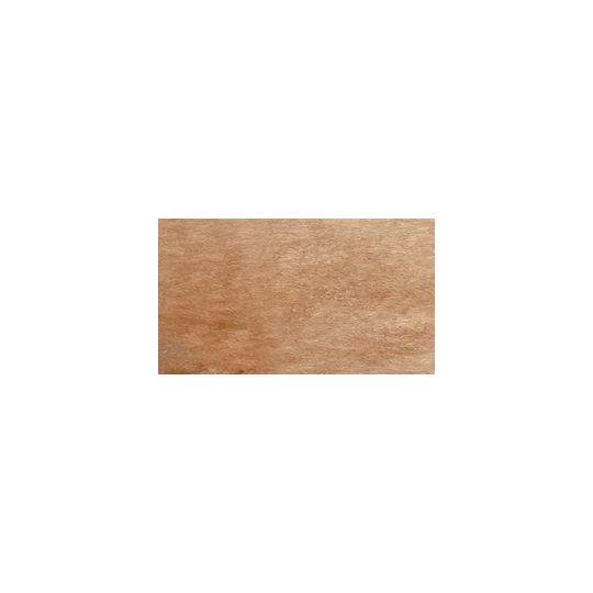 Ombre naturelle - Aquarelle extra-fine ½ godet Charvin