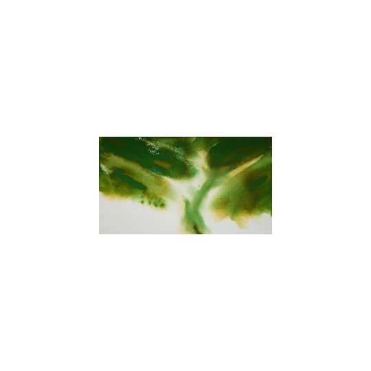 Vert mousse - aquarelle granuleuse Tube 15ml Mission Gold Class Tourmaline Mijello