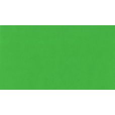 Vert clair - acrylic gouache Tube 20ml Holbein Artists'