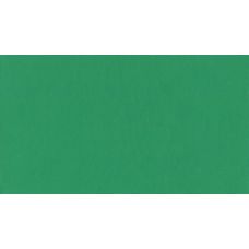 Vert véronèse - acrylic gouache Tube 20ml Holbein Artists '