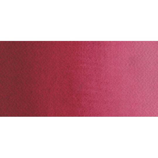 Rouge bordeaux - Aquarelle Godet Rosa Gallery