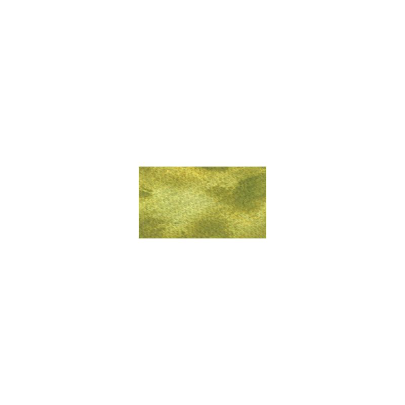 Paruline des buissons du Japon vert - aquarelle granuleuse ArtistsTube 5ml Holbein