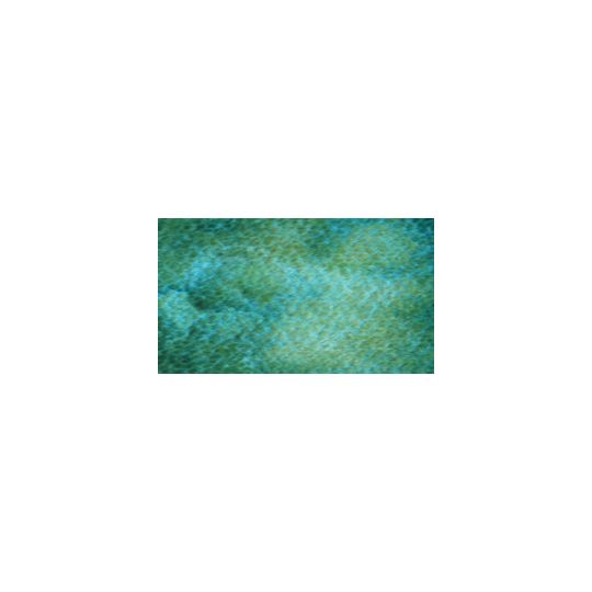 Paon vert - aquarelle granuleuse ArtistsTube 15ml Holbein