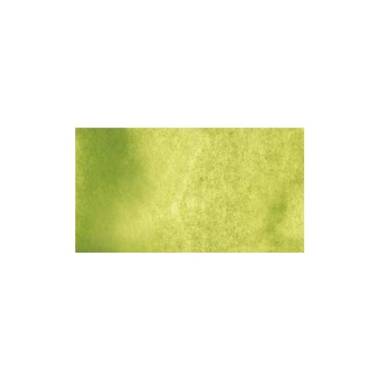 Terre verte (teinte jaune) - aquarelle PWC Tube 15ml ShinHan